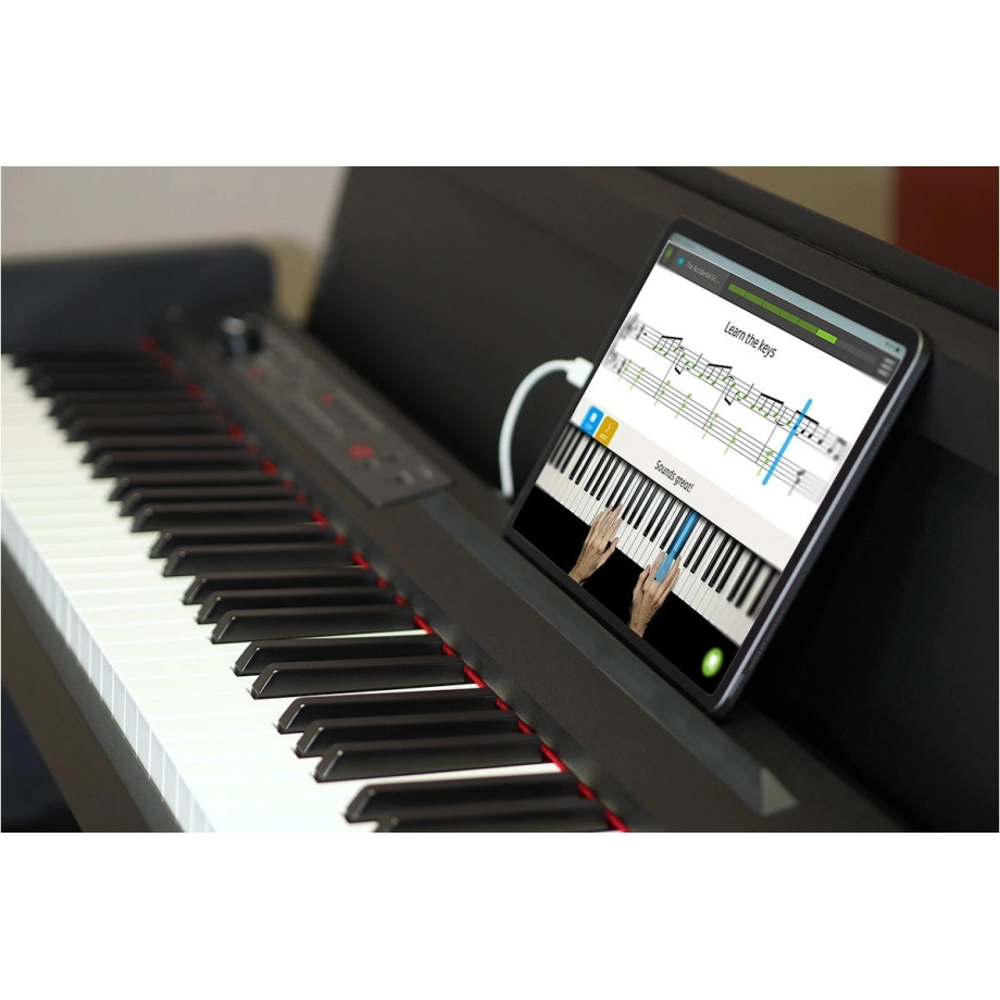 Цифрове піаніно Korg LP-380-RW U — купити в інтернет-магазині