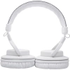 Навушники для плеєра Audio-Technica ATH-PRO5x White