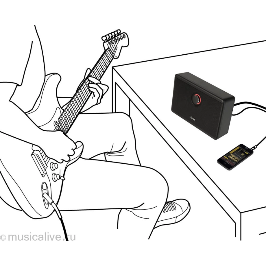 Фото №4 Acoustics IK Multimedia iLoud