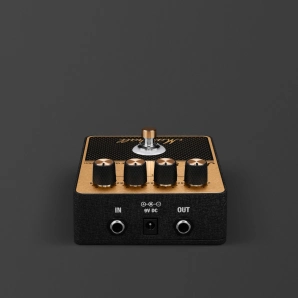 Фото Marshall JCM900