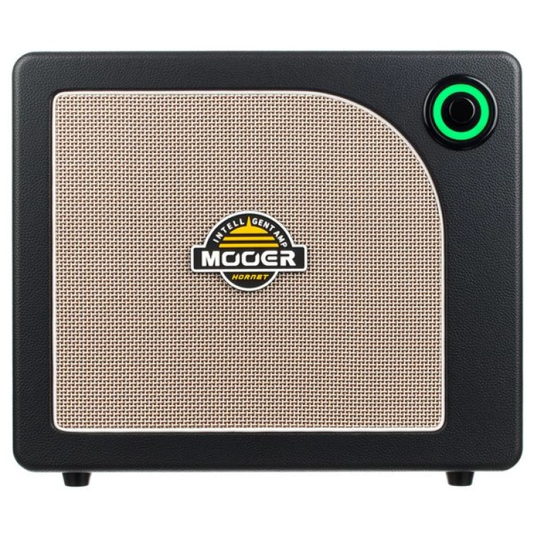 Фото №1 Комбопідсилювач MOOER Hornet 30i
