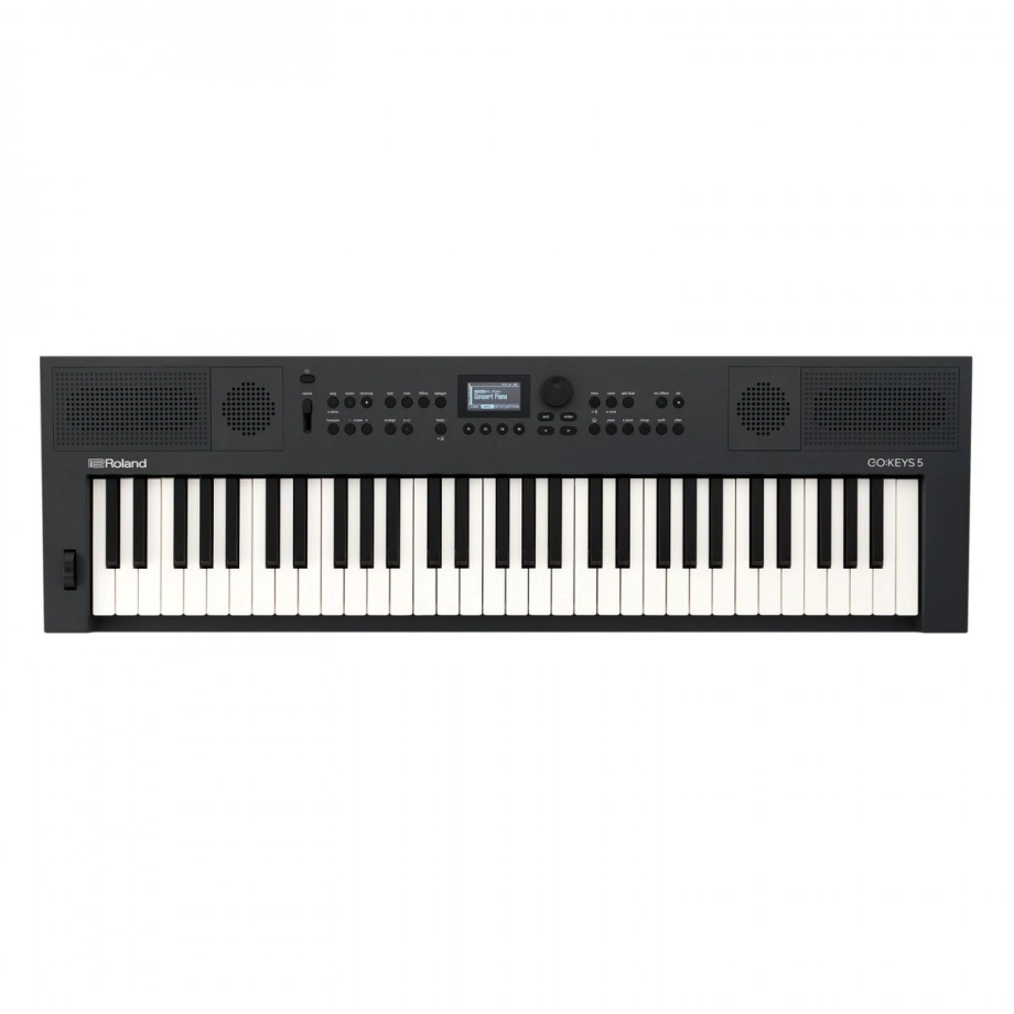 Купить синтезатор и рабочую станцию Roland GO:KEYS-5-GT в интернет