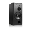 Студійний монітор ATC SCM100ASL Pro