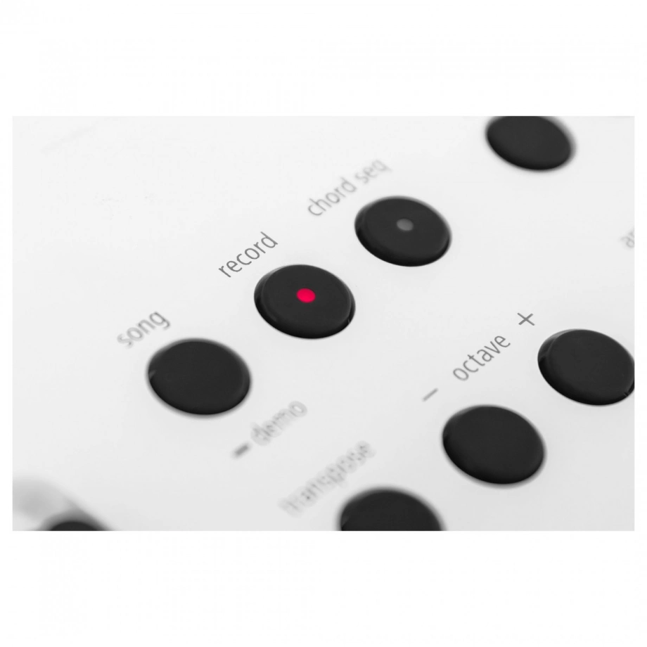 Фото №4 Синтезатор Roland GO:KEYS-5-WH