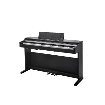Фото Kurzweil CUP M1 SR Фото Kurzweil CUP M1 SR