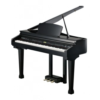 Фото Kurzweil KAG-100 EP Фото Kurzweil KAG-100 EP