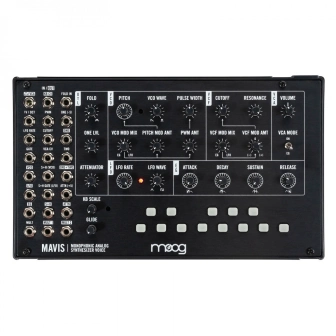 Фото Moog Mavis